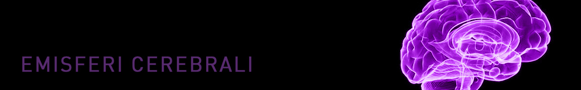 banner_emisferi